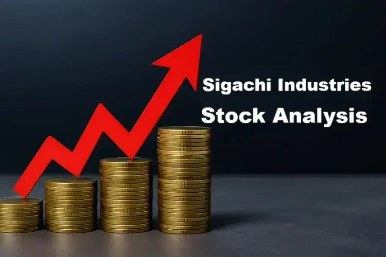 Sigachi Industries Share Price Target 2026, 2027, 2028, 2029, 2030 - Expert Analysis & Outlook